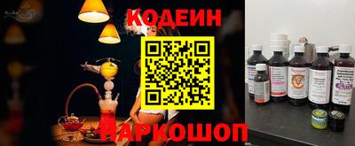 амф Кингисепп