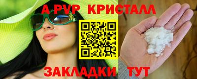 амф Кингисепп