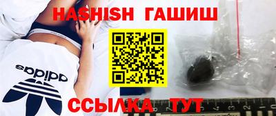 амф Кингисепп